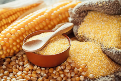  Tiêu chuẩn quốc gia TCVN 4846:2024 xác định độ ẩm của ngô xay và ngô hạt